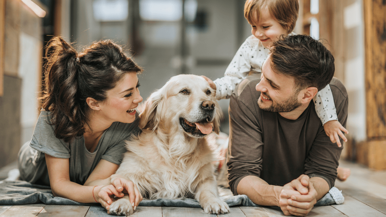 Carbondale Animal Hospital Supports Mission Rabies for World Rabies Day
