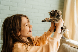Kitten Care Packages at Carbondale AH