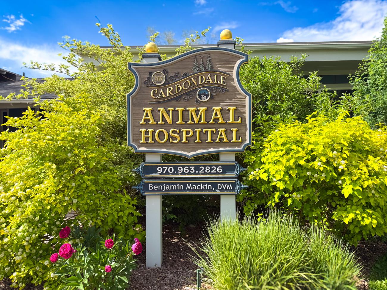 Carbondale Animal Hospital