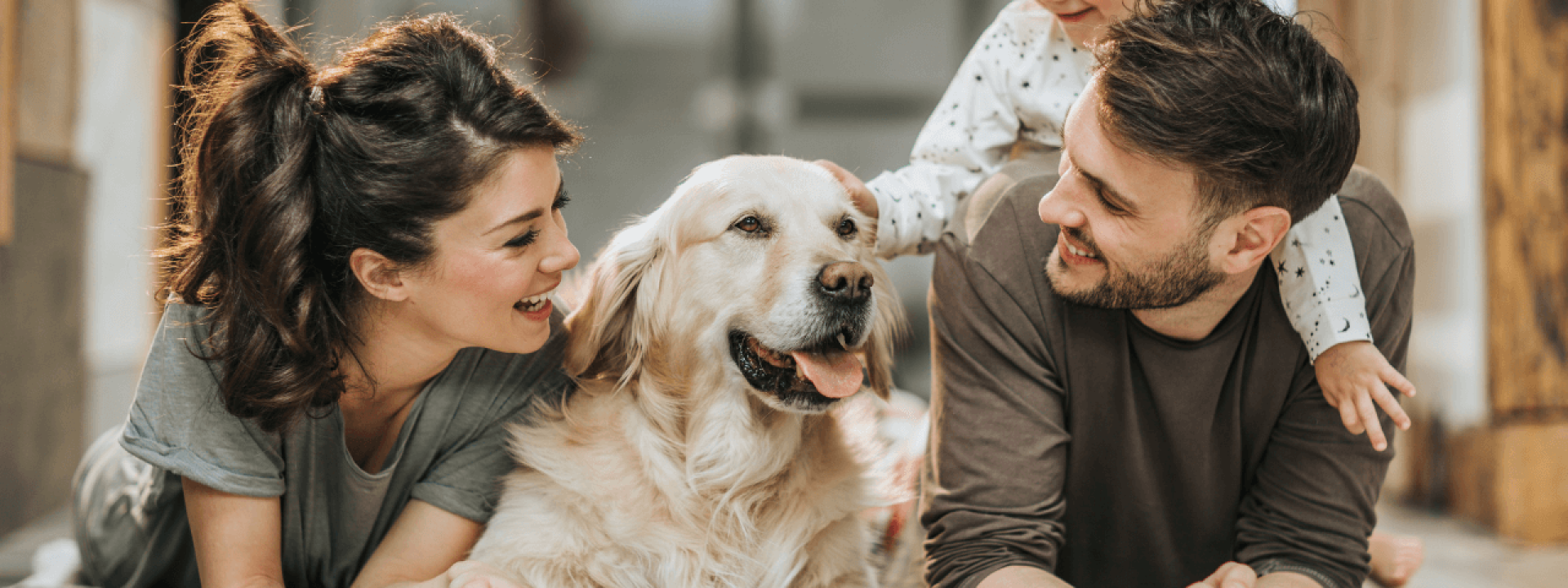 Dog with family